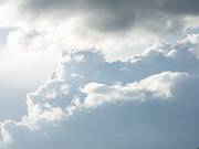 2004-08-20 18-29-11 Nature 142,0mm 1_640_eme F6,3 